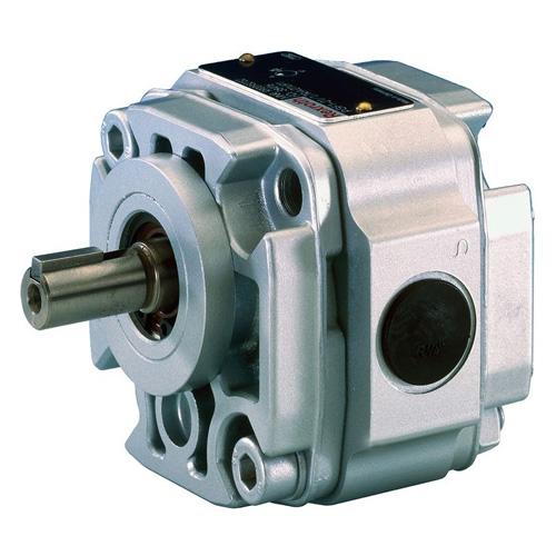 Rexroth PGF1